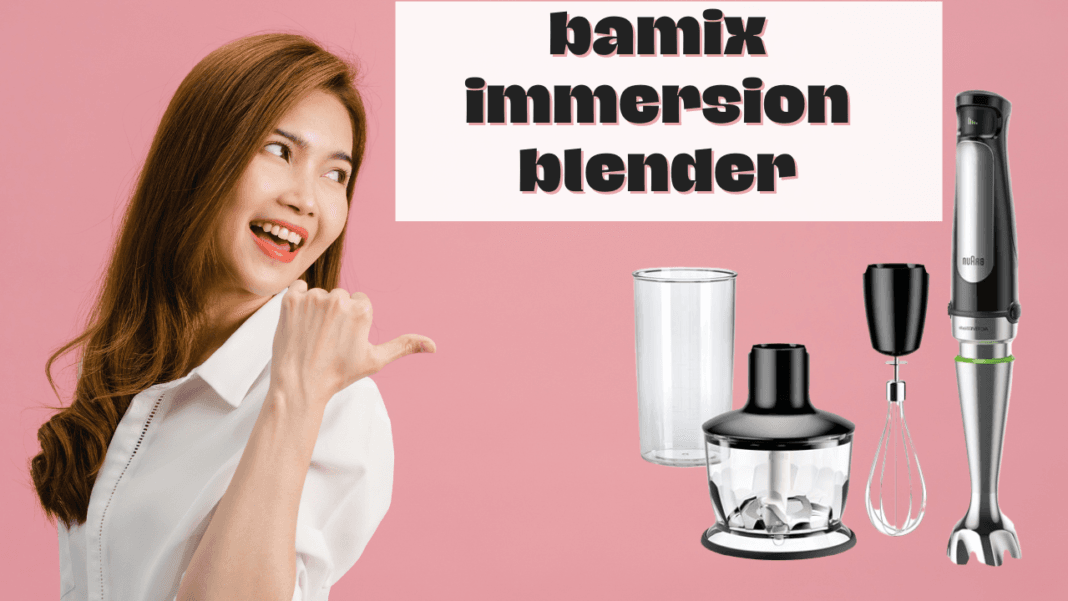 bamix immersion blender