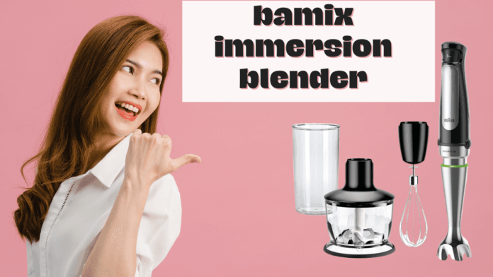 bamix immersion blender